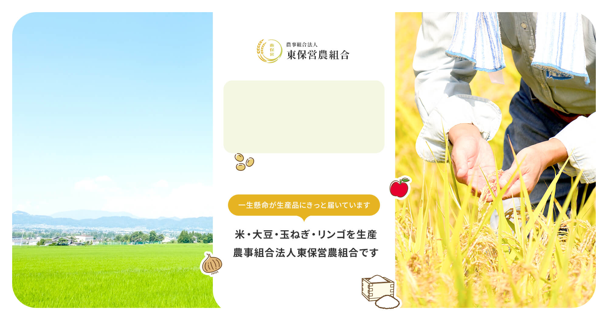 一生懸命が生産品にきっと届いています　米・大豆・玉ねぎ・リンゴの生産、農事組合法人東保営農組合です