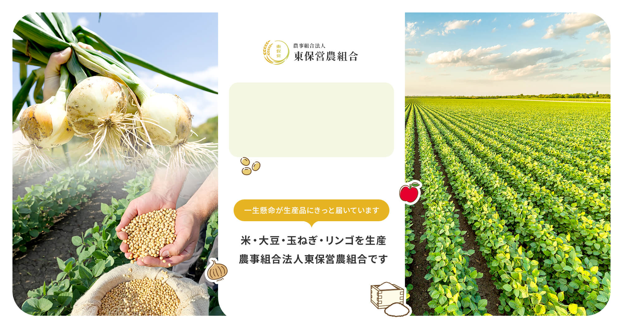 一生懸命が生産品にきっと届いています　米・大豆・玉ねぎ・リンゴの生産、農事組合法人東保営農組合です